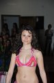 Casting Miss Italia 25.3.2012 (988)